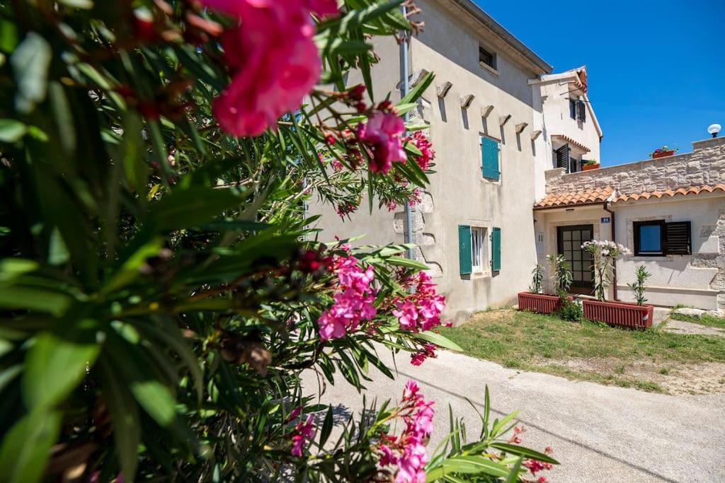 Apartman Luka Krnica Εξωτερικό φωτογραφία