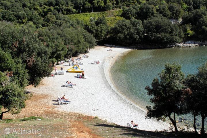 Apartman Luka Krnica Εξωτερικό φωτογραφία